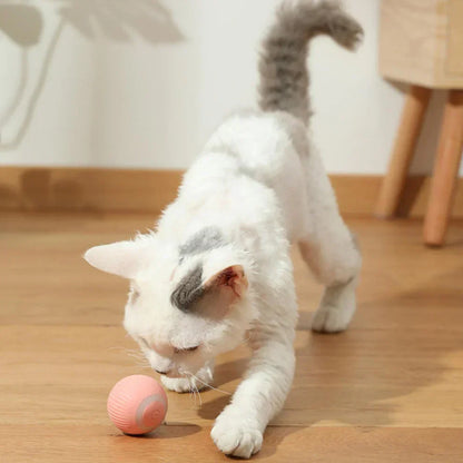 Interaktiv Kattsboll 2.0